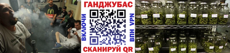 продажа наркотиков  Георгиевск  Шишки марихуана SATIVA & INDICA 